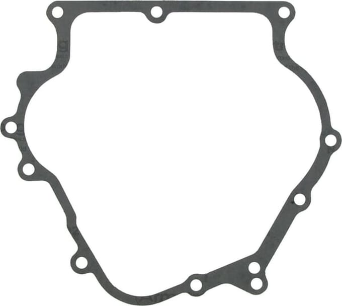Briggs & stratton carterpakking