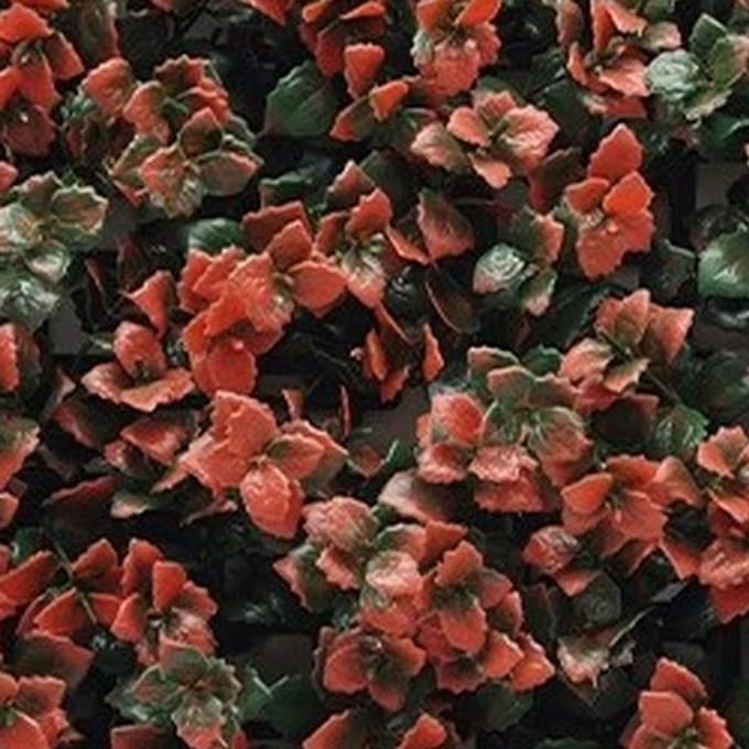 Kunstplanten mat 50x50 cm pachysandra rood Buitengewoon de Boet