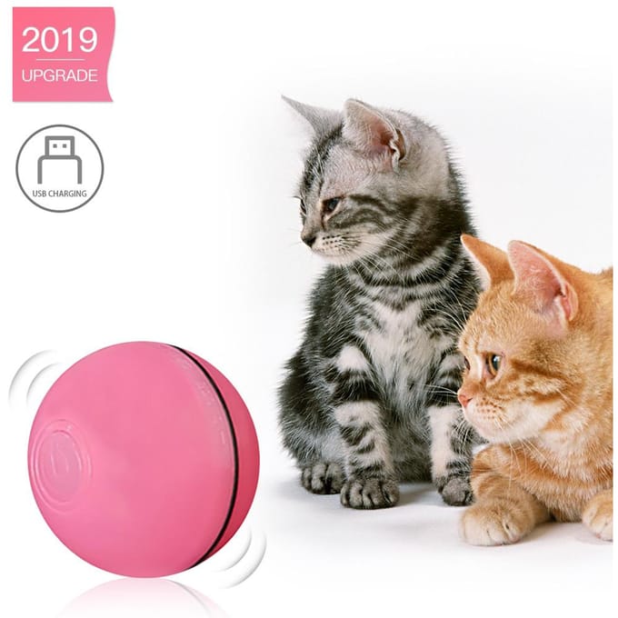 Elektrische interactieve kattenspeelgoedbal rollende bal voor kittenkattenoefening rood