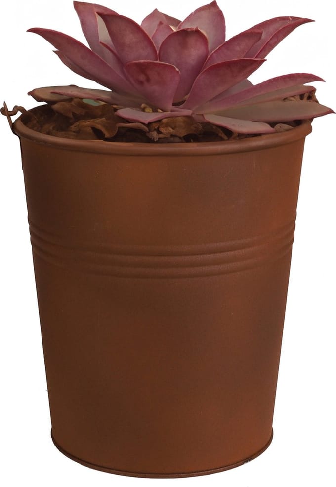 Sunnydays Emmer/plantenpot/bloempot - zink - roestbruin - D20 x H22cm