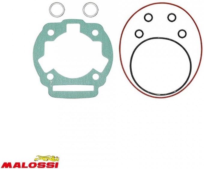 Malossi motorafdichting voor Gilera 50 RCR 2006 1112982 Gloednieuw