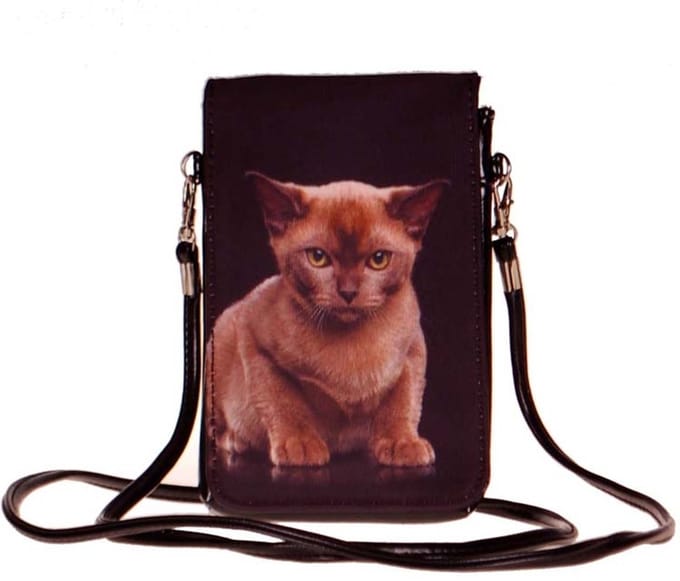 Telefoontasje Poes