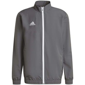 adidas Performance Entrada 22 Presentatiejack - Heren - Grijs- S