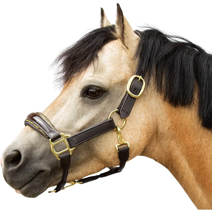 Leren halster voor pony Bridlery Eternity