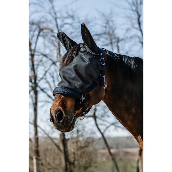 Paardenmuts Equithème A-M.A.UV. Halter