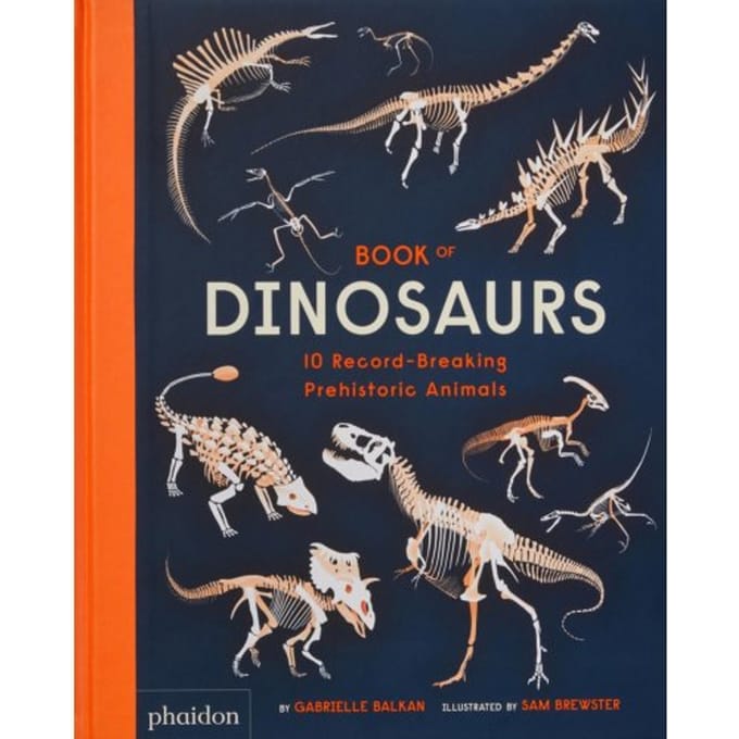 Book Of Dinosaurs - Gabrielle Balkan
