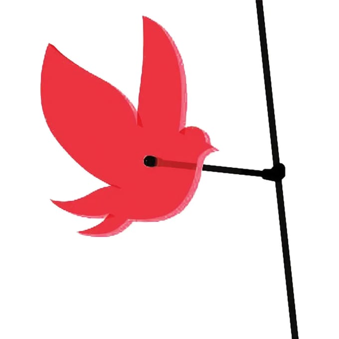 Windwijzer Elliot Otolumi Bird