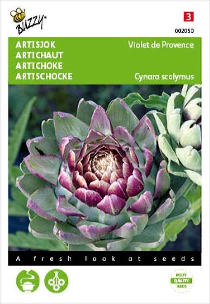 Buzzy Zaden Artisjok Violet de Provence - Cynara scolymus