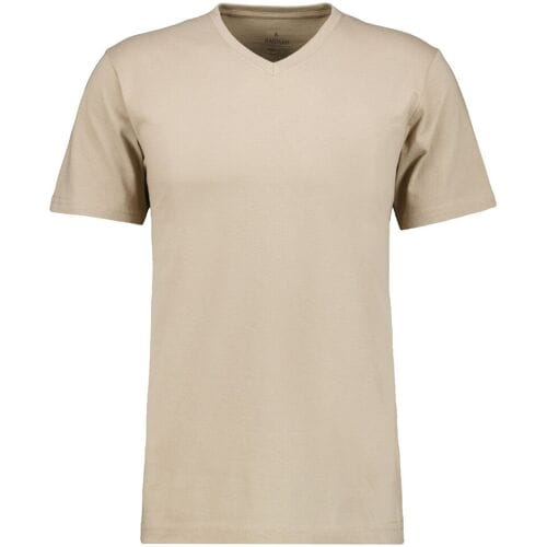 Ragman T-Shirt Uni V-Neck Single Jersey Walnut / male