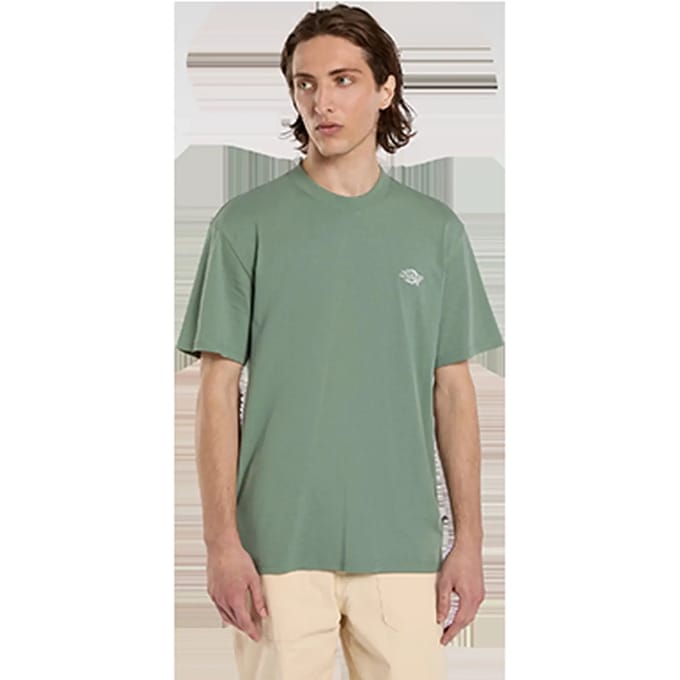 T-shirt Dickies Summerdale