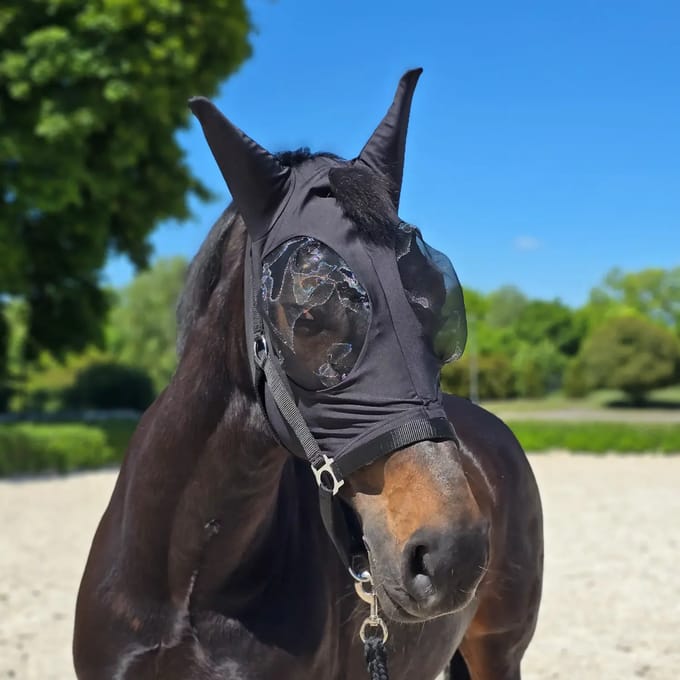 York Arletta UV Insectenmasker Paard Pony Maat