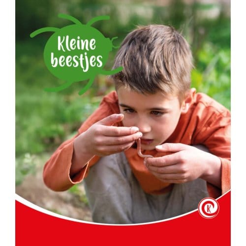 Kleine Beestjes - Kijkdoos - Minke van Dam