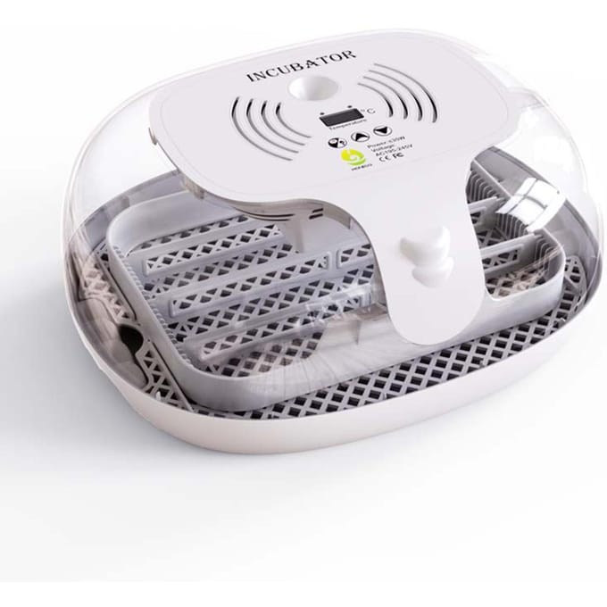 Incubateur pour œufs à couver, retournement automatique des œufs, plateau à œufs multifonctionnel, couvercle Transparent Model B (16 eggs)  AU Plug blanc