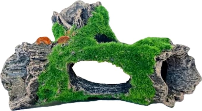Boomstam Mos Deluxe - Aquarium boomstam met mos