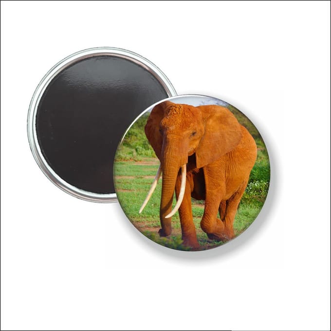 Button Met Magneet - Olifant - NIET VOOR KLEDING