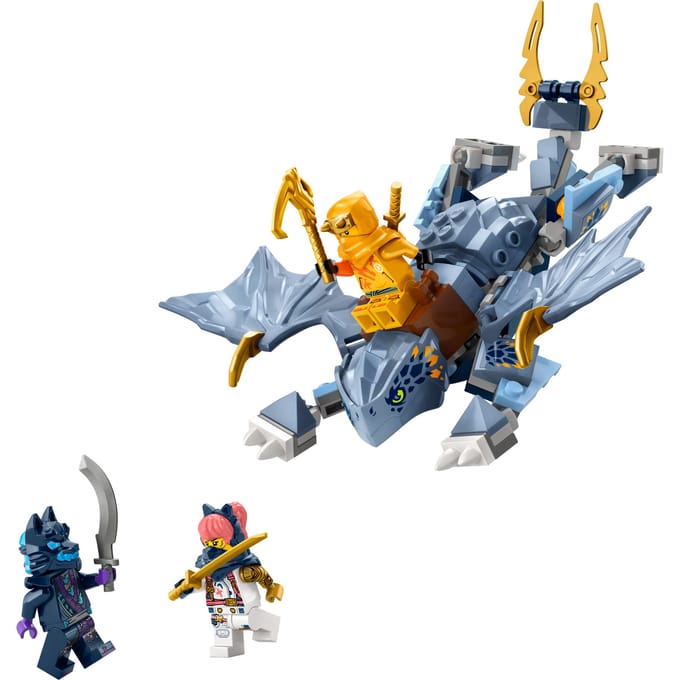LEGO - 71810 Jonge draak Riyu Bouwsets