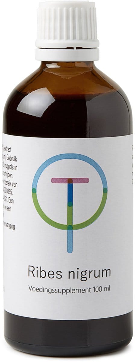 Ribes Nigrum Zwarte Bes /Tw