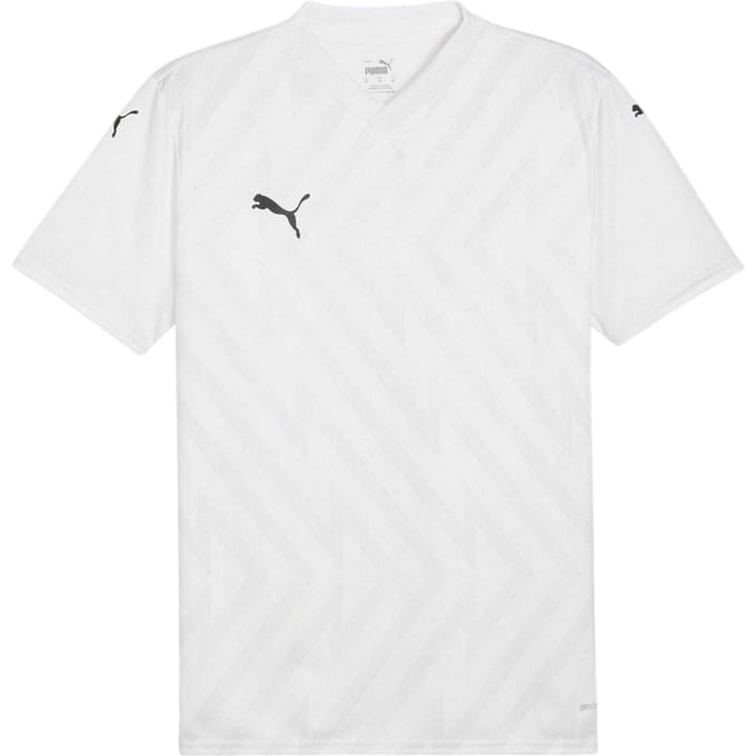 Puma Heren Teamglory Jersey T-Shirt (Wit/Zwart/Grijs)