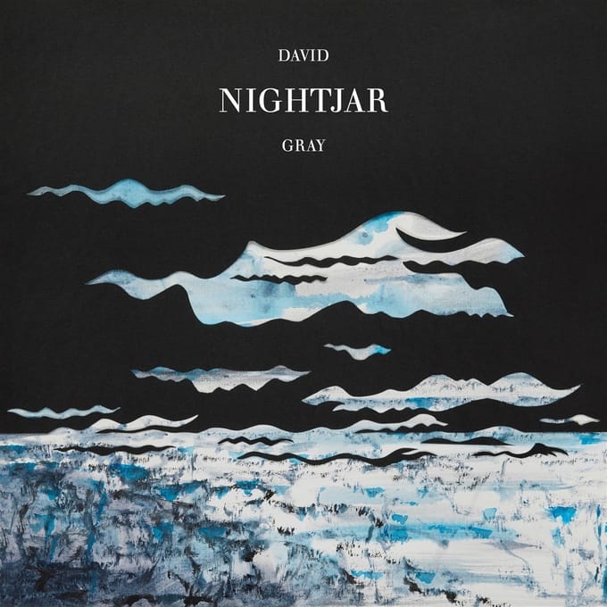 David Gray - Nightjar (2 LP)
