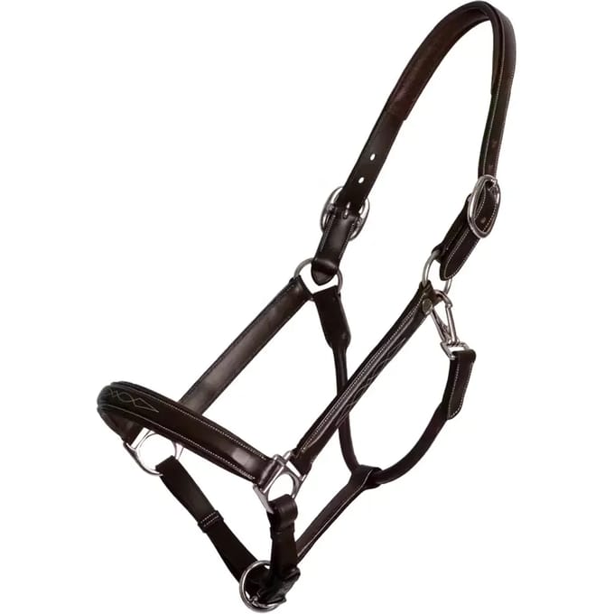 Leren halster voor paarden Dy'on Fancy Working Collection
