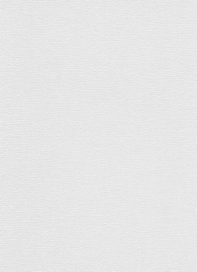 Erismann Vinylbehang 533110 - RollOver27 - Overschilderbaar Wit - 53cm x 10.05m