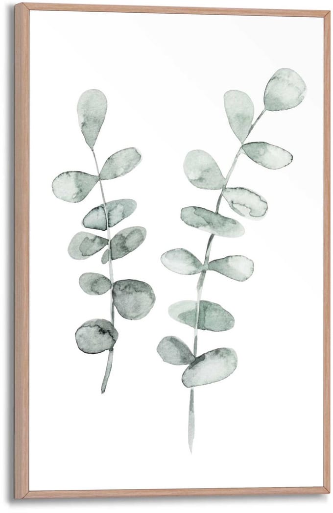 Schilderij Eucalyptus - 30 x 20 - Hout - REINDERS
