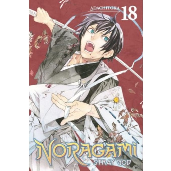 Noragami: Stray God 18 - Noragami: Stray God - Adachitoka