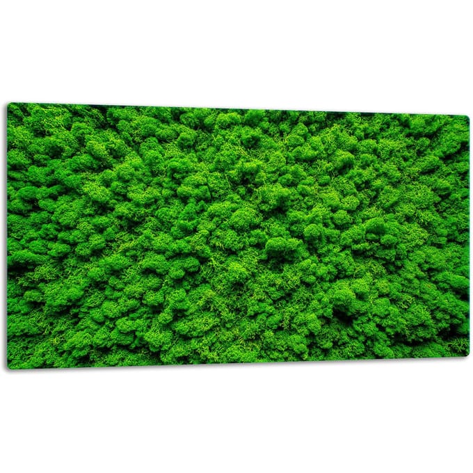 TMK ArtDeko - Snijplank - Glas - 52x30 cm - Antislip