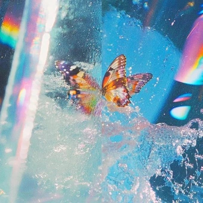 Daphni - Butterfly (CD)
