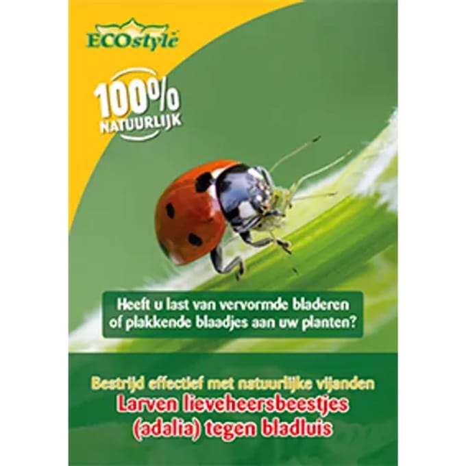 Ecostyle Larven Lieveheersbeestje Tegen Bladluis 5m²