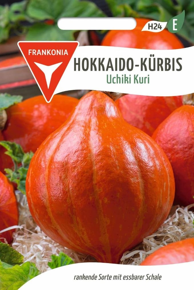 Hokkaido pompoen, Uchiki Kuri - groentezaden, pompoenpitten, zaden