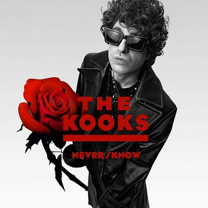 The Kooks - Never/Know (LP)