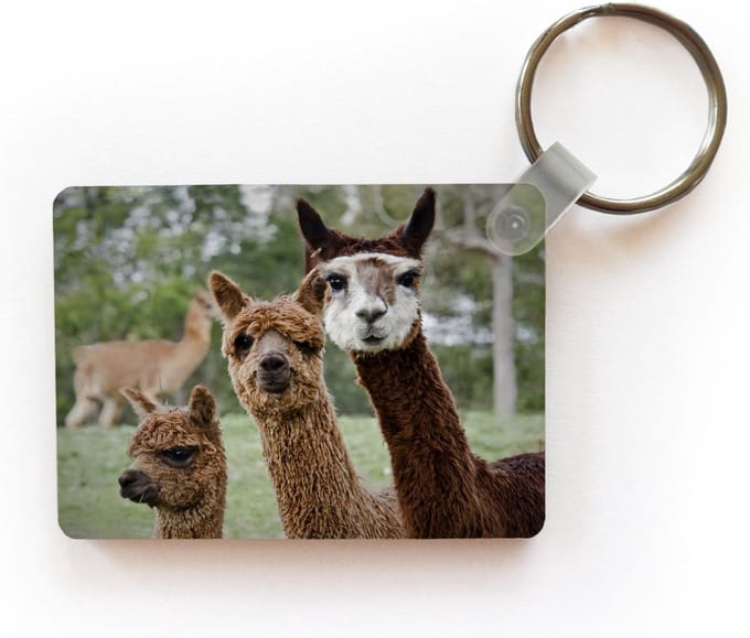 Sleutelhanger - Alpaca - Dier - Bruin - Uitdeelcadeautjes - Plastic