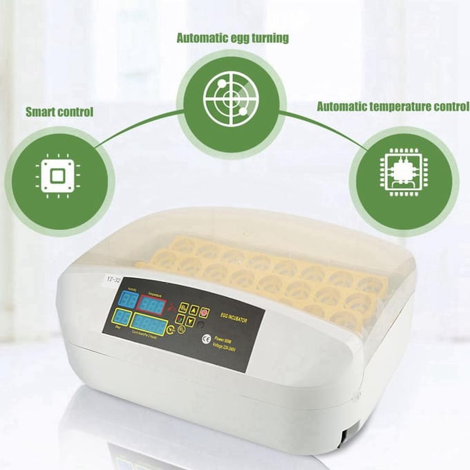 Broedmachine voor 32 eieren met digitale temperatuurregeling en automatische draaiing. black