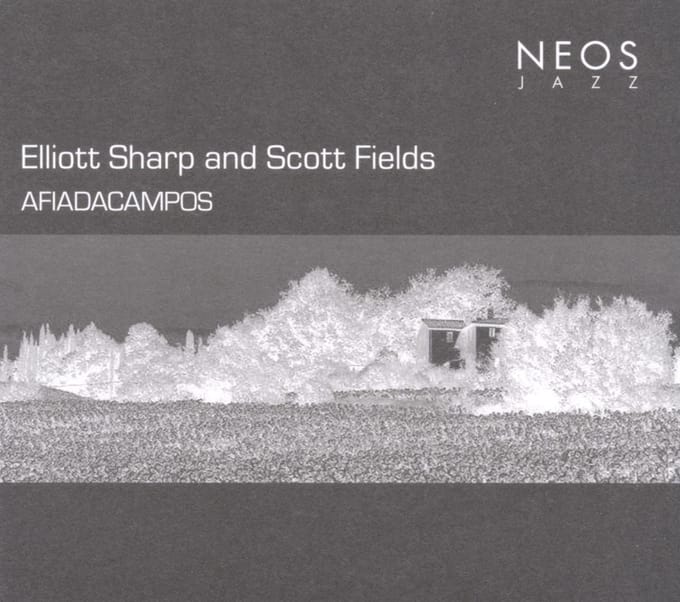 Elliott Sharp And Scott Fields - Afiadacampos (CD)