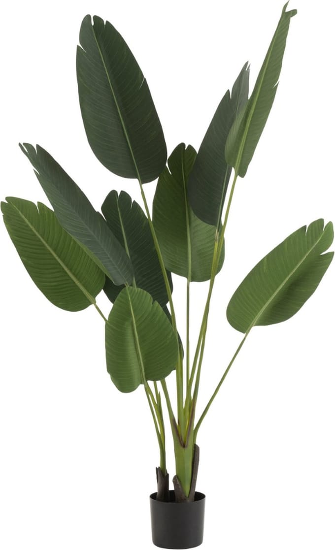 Kunstplant Strelitzia 165 cm