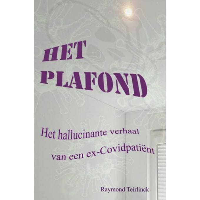 Het Plafond - Raymond Teirlinck