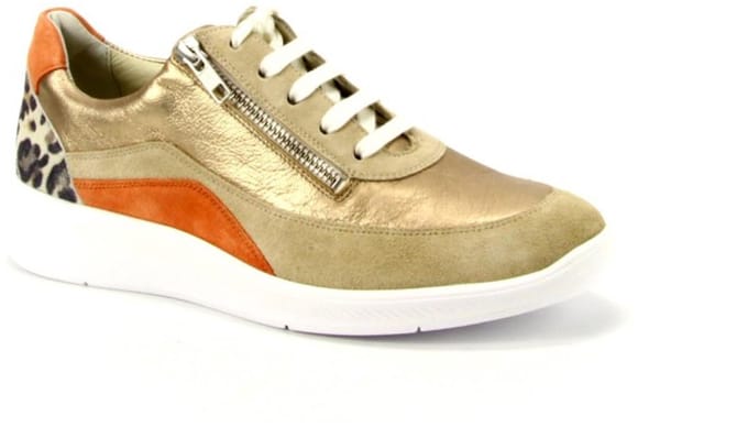 Solidus 56287 halea 287