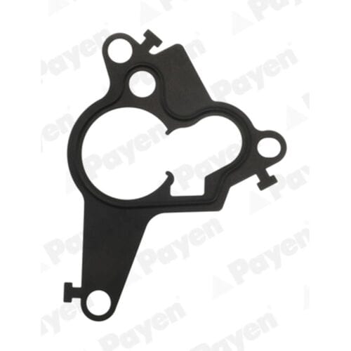 Pakking vacuümpomp  PAYEN KK5754