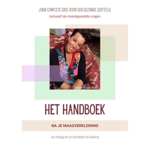 Het Handboek Na Je Maagverkleining - Marie-Josee Koks