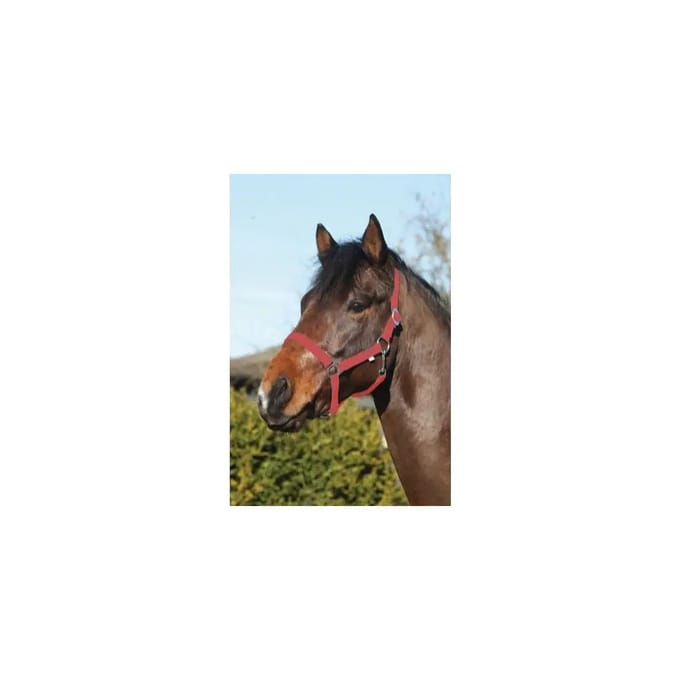 Nylon paardenhalster HorseGuard