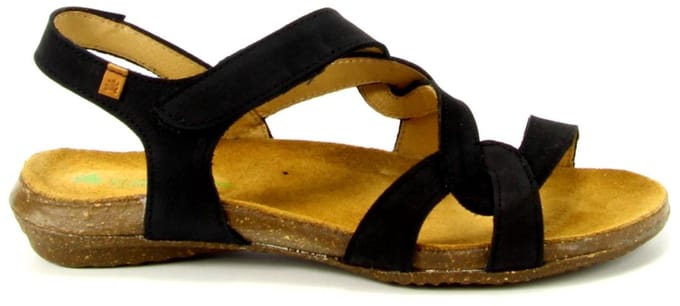 El Naturalista N5079