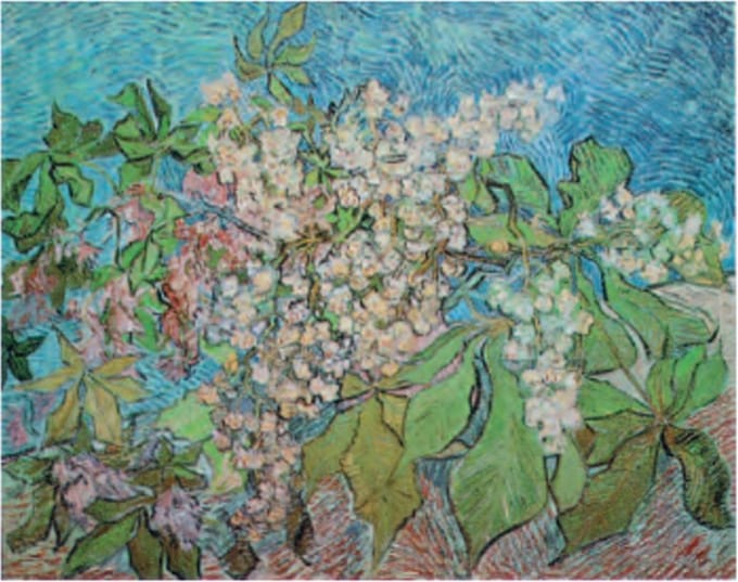 Vincent van Gogh - Kastanjebloesem - Kunstposter - 60x80 cm