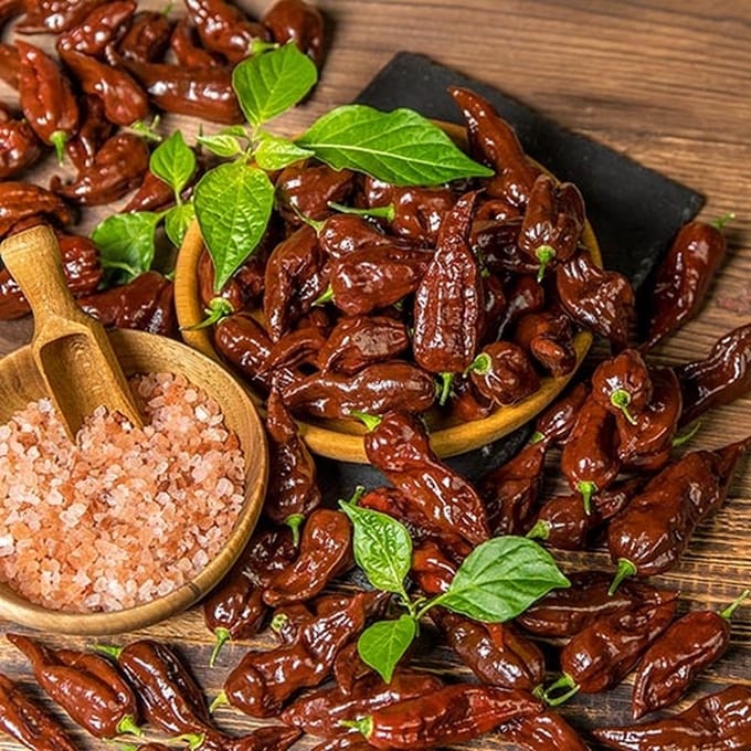 Peper zaden - Naga Morich chocolate