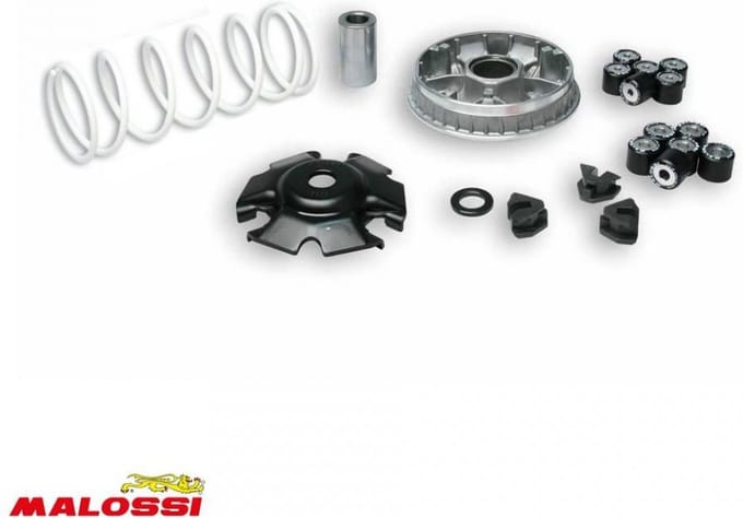 malossi variator voor kymco scooter 125 people 2000 5114404 / multivar 2000 nieuw