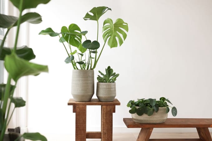 Delhi Pot Groen D 16 x H 14