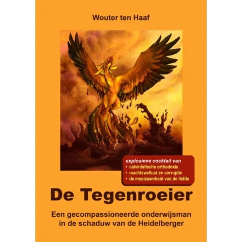 De Tegenroeier - Wouter ten Haaf