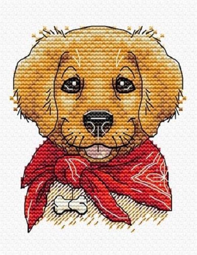 borduurpakket hond - best friend
