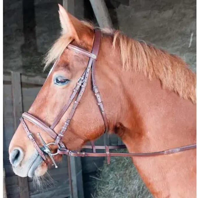Gecombineerde hoofdstellen T de T Sisley