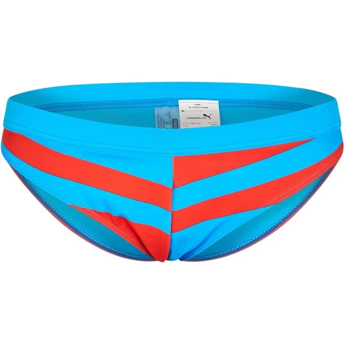 Puma Dames Heritage Kleurblok Bikini Onderdeel (Blauw)